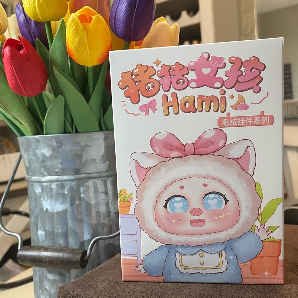 Hami Pig Girl Blind Box